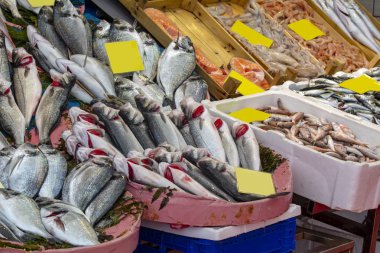 Deniz ürünleri pazarında taze balık
