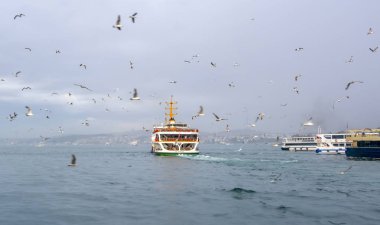 Boğazdaki deniz yolculuğundan güzel manzaralı turistik yerler. Türk buharlı gemileri, Altın Boynuz manzaralı..