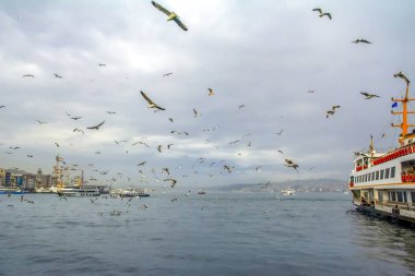 Boğazdaki deniz yolculuğundan güzel manzaralı turistik yerler. Türk buharlı gemileri, Altın Boynuz manzaralı..