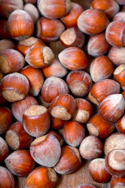 Makro çekimler, Güzel HAZELNUT Stok Resmi
