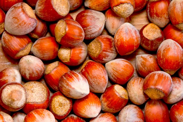 Macro Shots Beautiful Hazelnut Imagen Stock — Foto de Stock