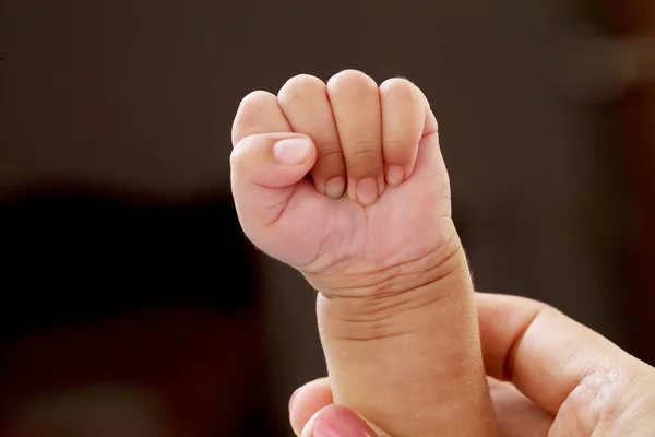 Newborn baby fist,close up