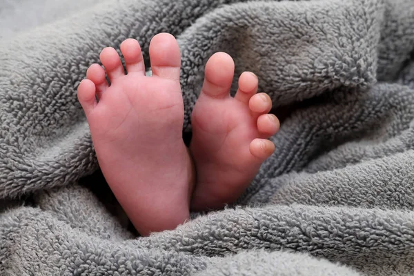 Μικροσκοπικό Πόδι Νεογέννητο Μωρό — Φωτογραφία Αρχείου