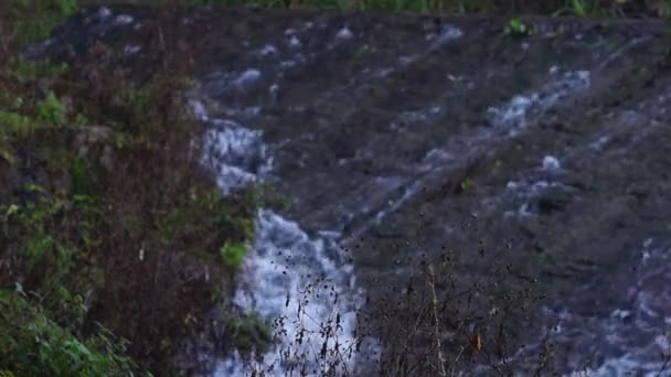 水在流动。从石山. — 图库视频影像