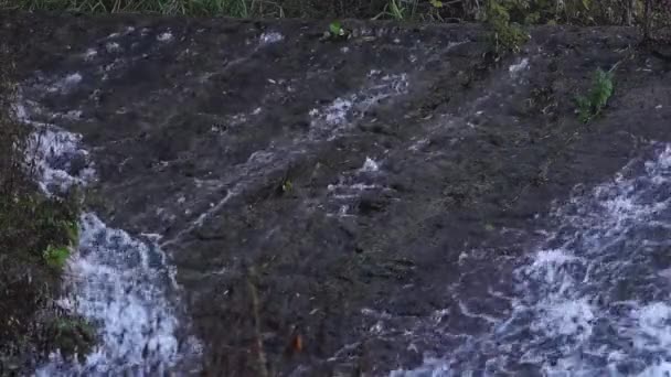 물 흐르는입니다. 돌 언덕에서. — 비디오