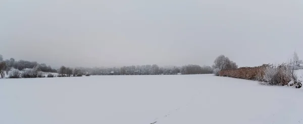 Panorama Vista Invierno Los Árboles Cubiertos Heladas Crecen Orillas Del — Foto de Stock