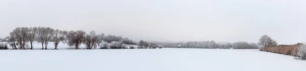 Panorama Zimní Pohled Stromy Pokryté Mrazem Rostou Březích Jezera Krásná — Stock fotografie