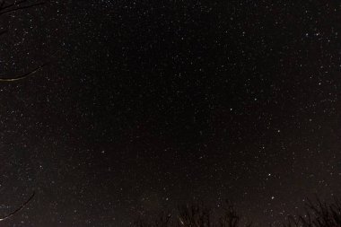 Gece yıldızlı gökyüzü. Birçok yıldız. kopya alanı