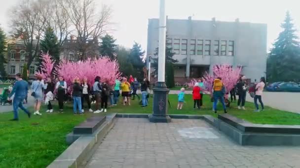 Ukrayna, Lehistan'a 19 Nisan 2018: Sakura çiçek aralığının fotoğraflar. — Stok video