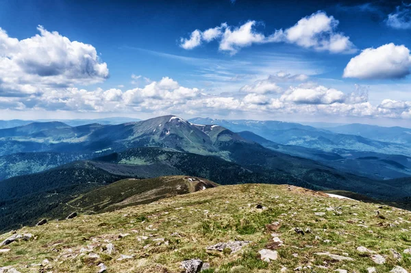 Dağ tepe yaz Karpaty Ukrayna Hoverla bulutlarda beyaz ile mavi gökyüzü altında pastoral görünümünü