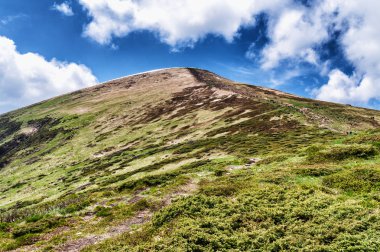 Dağ tepe yaz Karpaty Ukrayna Hoverla bulutlarda beyaz ile mavi gökyüzü altında pastoral görünümünü