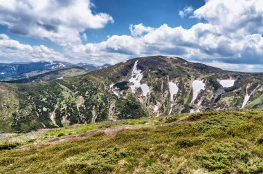 Dağ tepe yaz Karpaty Ukrayna Hoverla bulutlarda beyaz ile mavi gökyüzü altında pastoral görünümünü