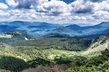 Dağ tepe yaz Karpaty Ukrayna Hoverla bulutlarda beyaz ile mavi gökyüzü altında pastoral görünümünü