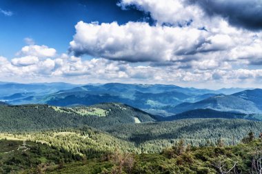 Dağ tepe yaz Karpaty Ukrayna Hoverla bulutlarda beyaz ile mavi gökyüzü altında pastoral görünümünü