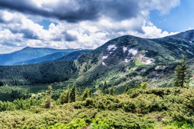 Dağ tepe yaz Karpaty Ukrayna Hoverla bulutlarda beyaz ile mavi gökyüzü altında pastoral görünümünü