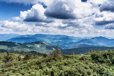 Dağ tepe yaz Karpaty Ukrayna Hoverla bulutlarda beyaz ile mavi gökyüzü altında pastoral görünümünü