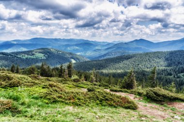Dağ tepe yaz Karpaty Ukrayna Hoverla bulutlarda beyaz ile mavi gökyüzü altında pastoral görünümünü
