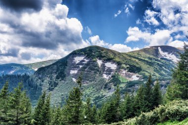 Dağ tepe yaz Karpaty Ukrayna Hoverla bulutlarda beyaz ile mavi gökyüzü altında pastoral görünümünü
