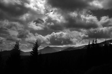 Dağ türler rotasındaki Mount Hoverla Ukrayna
