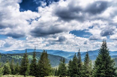 Dağ türler rotasındaki Mount Hoverla Ukrayna