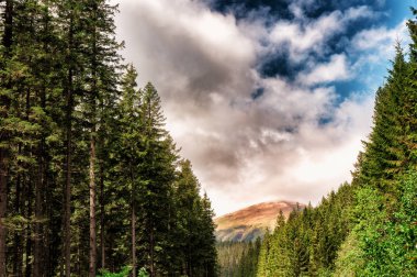 Dağ bulut orman üst üzerinde olduğunu