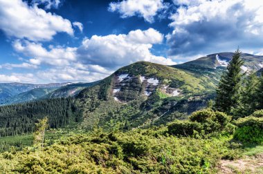 Dağ tepe yaz Karpaty Ukrayna Hoverla bulutlarda beyaz ile mavi gökyüzü altında pastoral görünümünü