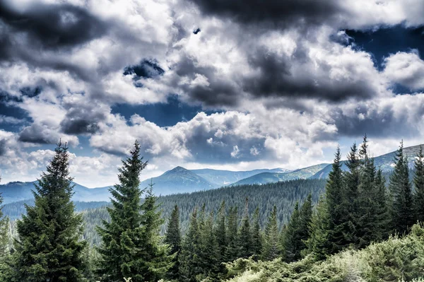 Berg Arter Väg Till Mount Hoverla Ukraina — Stockfoto