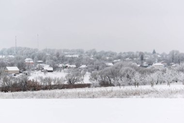 Kış kar ağaçlar, yeni yıl ruh hali.