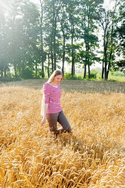Raised wheat harvest.. The girl in the morning stands in wheat. — Stock Photo, Image