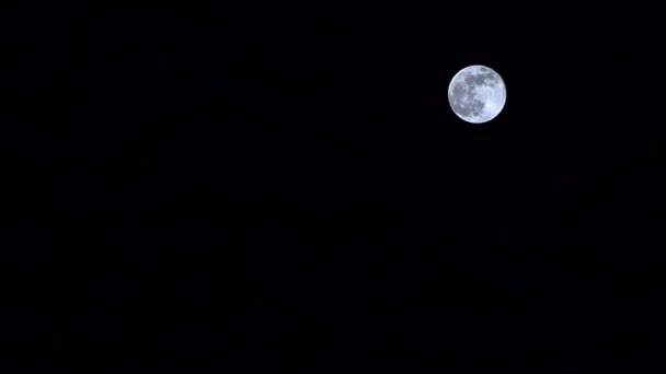 Super Luna. Un fenomen unic în 2019 . — Videoclip de stoc