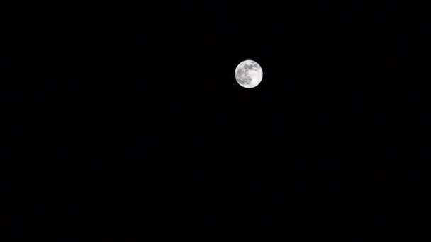 Super Moon. Un phénomène unique en 2019 .