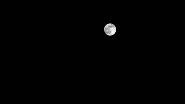 Super Moon. Un phénomène unique en 2019 .