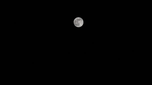 超级月亮。2019年的一个独特现象. — 图库视频影像