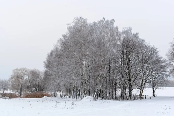 Winter landscape. Winter weather snow is on the ground.