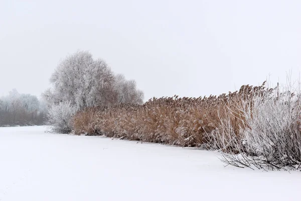 Winterlandschaft. Winterwetter Schnee liegt auf dem Boden. — Stockfoto