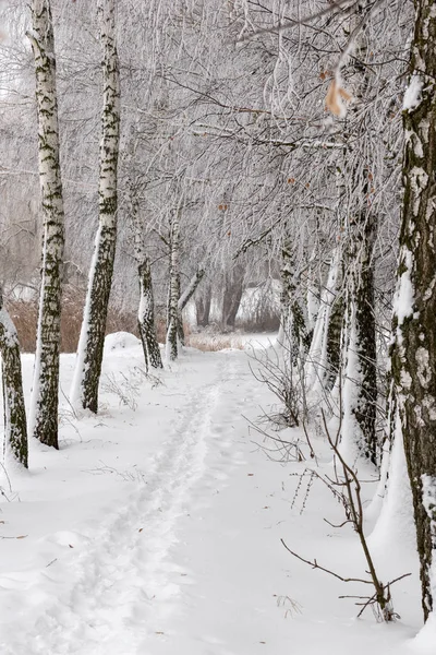 Winter landscape. Winter weather snow is on the ground.