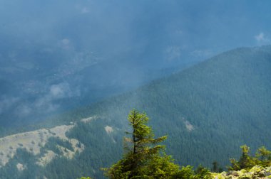 Dağın tepesinden manzara.