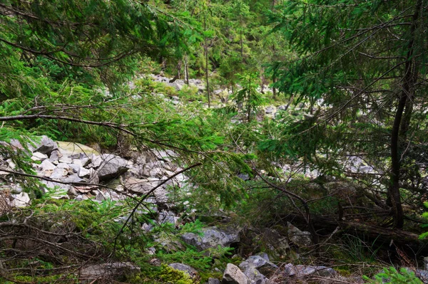 Rocky climb the mountain — Stock Photo, Image