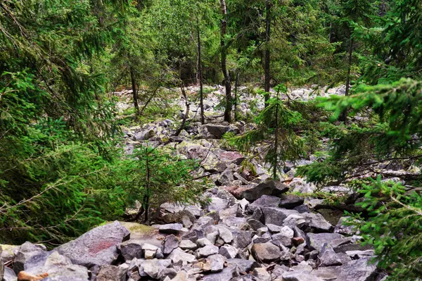 Kayalık dağa tırmanmak