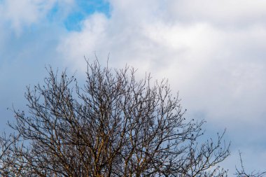 Bulutlu hava. Mavi gökyüzündeki beyaz bulutlar.