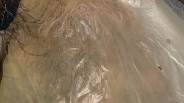 Rüzgar plastik bir yağ bezi ni hareket ettirir. ekolojik kavram.