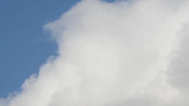 Weiße Wolken am blauen Himmel — Stockvideo