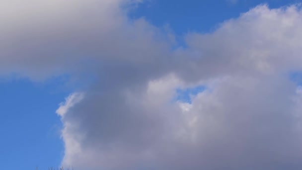 Weiße Wolken am blauen Himmel — Stockvideo