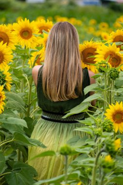 Model geri döndü. Çiçek açan ayçiçeklerinin olduğu bir tarlada.