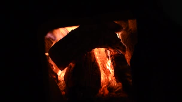 Dřevo hoří v drsném poli. Tmavé krásné ohnivé pozadí. — Stock video