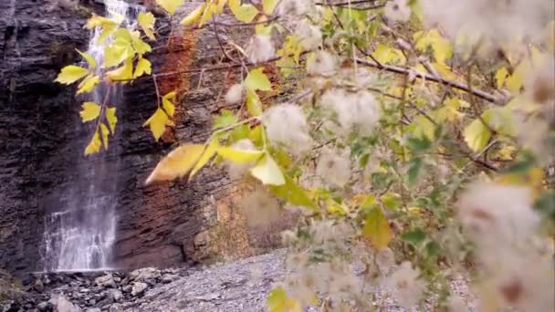 Lanzamiento Camiones Hacia Adelante Una Cascada Por Algún Follaje Otoño — Vídeo de stock