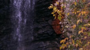 Şelale ile ön planda sonbahar yaprakları.