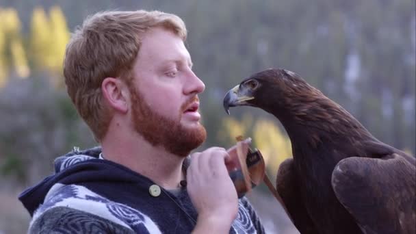 Falconer Βάζοντας Εκτυφλωτική Κουκούλα Στο Golden Eagle — Αρχείο Βίντεο