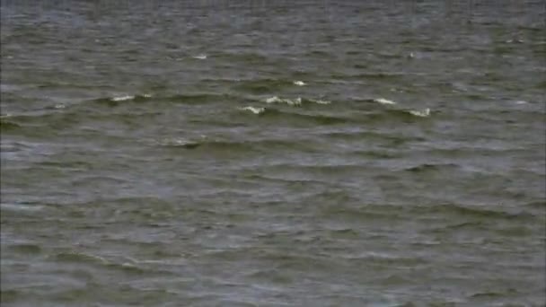Наклонение Выстрела Воды Остров Алькатрас — стоковое видео