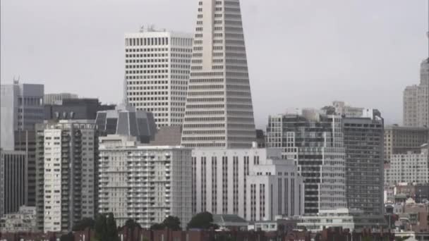Przechylanie Się Strzał Transamerica Budynku San Francisco — Wideo stockowe